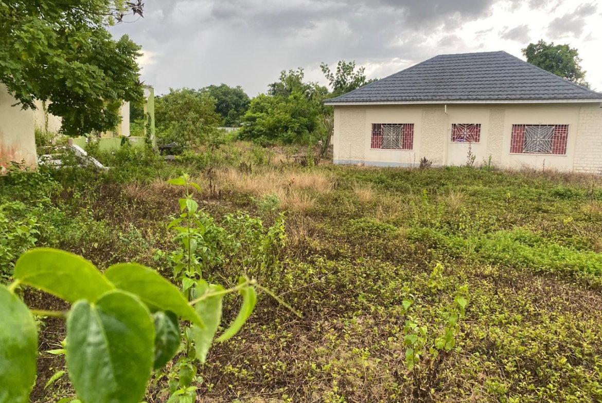 Twentieth image of Lacovia st Elizabeth in Lacovia, St. Elizabeth, Jamaica - property is For Sale