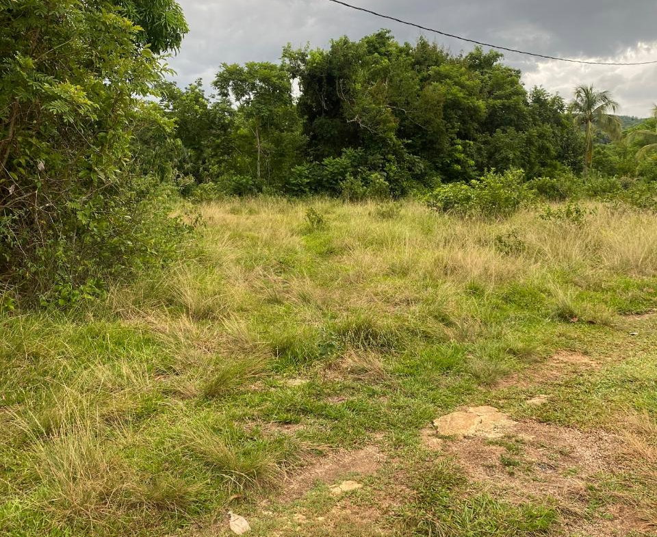 Twenty-Third image of Lacovia st Elizabeth in Lacovia, St. Elizabeth, Jamaica - property is For Sale