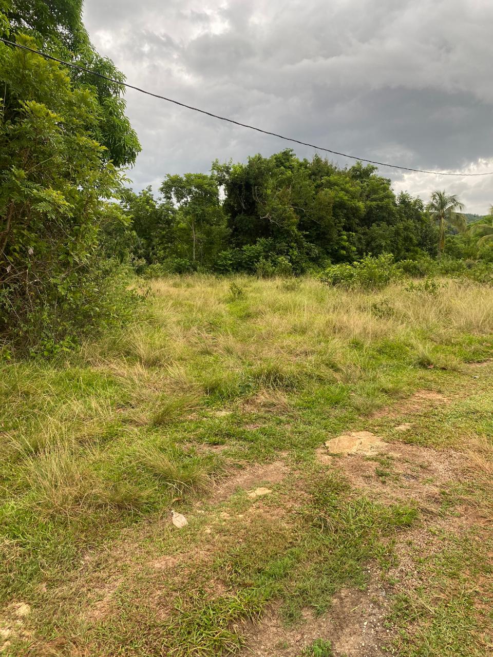 Twenty-Third image of Lacovia st Elizabeth in Lacovia, St. Elizabeth, Jamaica - property is For Sale