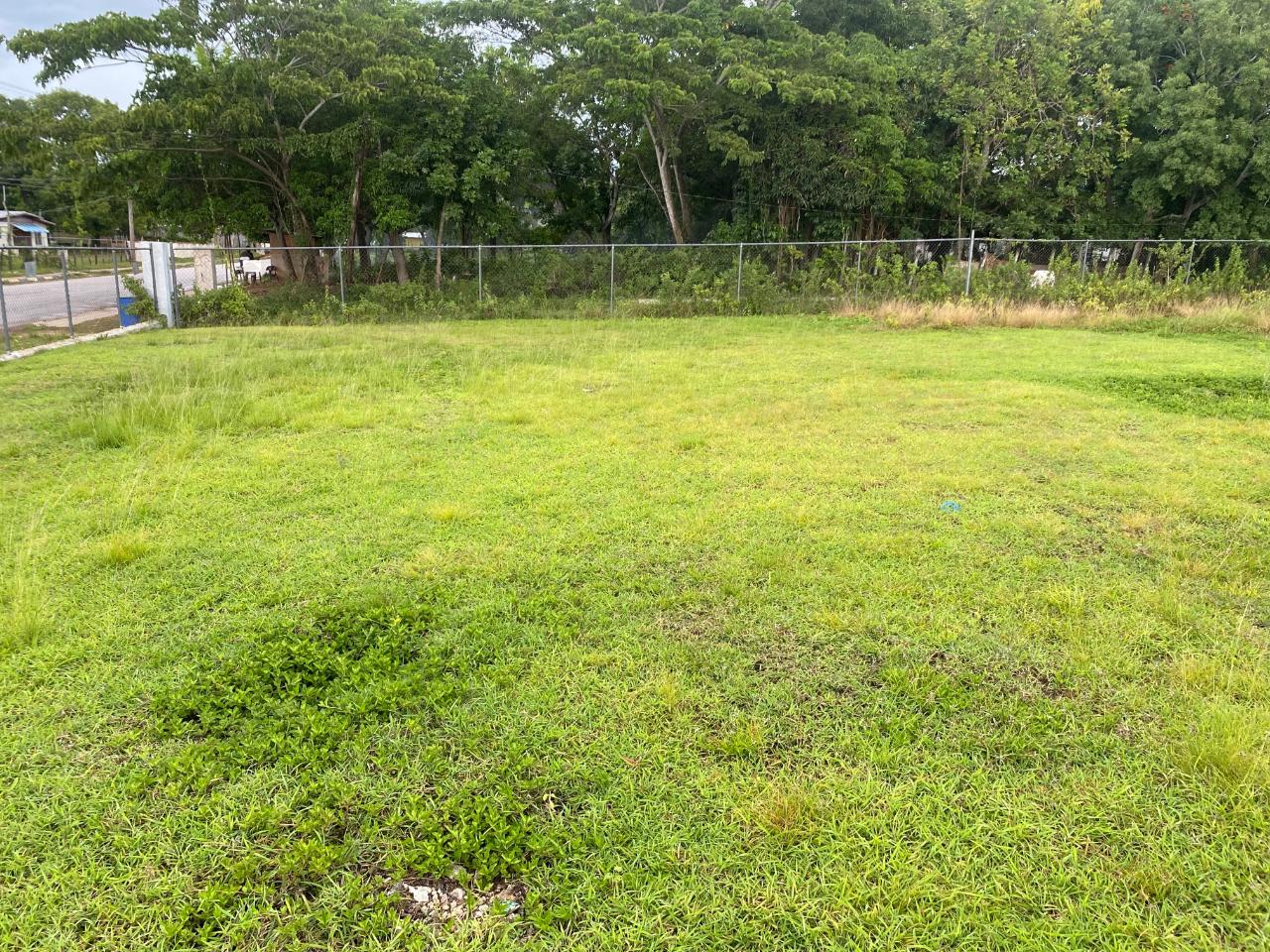 Fourth image of Lacovia st Elizabeth in Lacovia, St. Elizabeth, Jamaica - property is For Sale