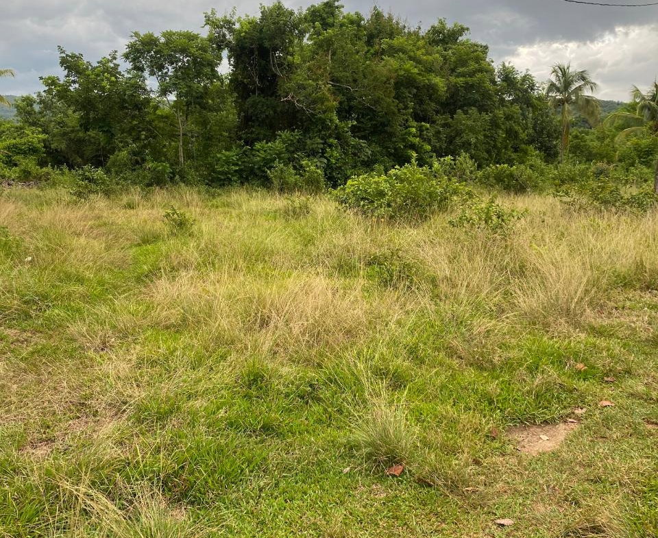 Tenth image of Lacovia st Elizabeth in Lacovia, St. Elizabeth, Jamaica - property is For Sale