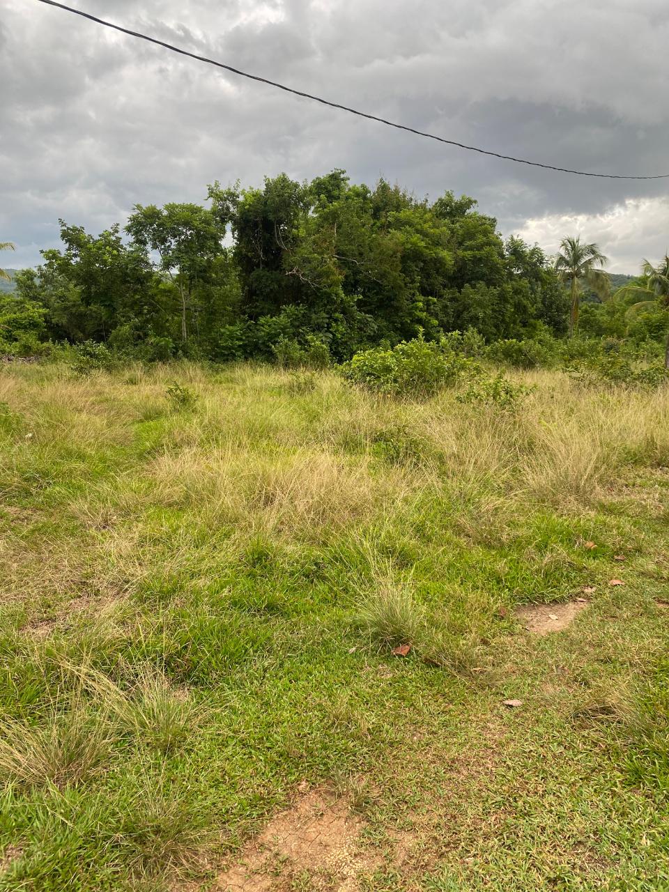 Tenth image of Lacovia st Elizabeth in Lacovia, St. Elizabeth, Jamaica - property is For Sale