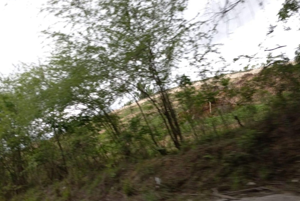 Fourth image of 01 Luana, Black River Po, st in Black River, St. Elizabeth, Jamaica - property is For Sale