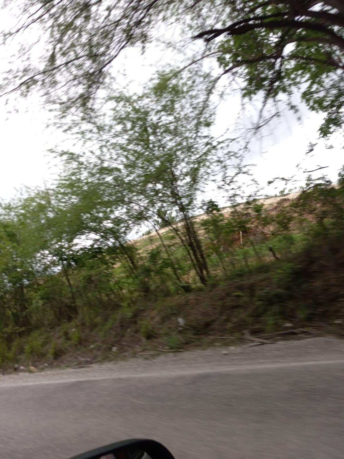 Fourth image of 01 Luana, Black River Po, st in Black River, St. Elizabeth, Jamaica - property is For Sale