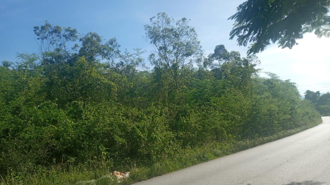 Second image of Luana in Black River, St. Elizabeth, Jamaica - property is For Sale