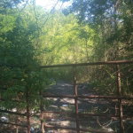 First image of Luana in Black River, St. Elizabeth, Jamaica - property is For Sale