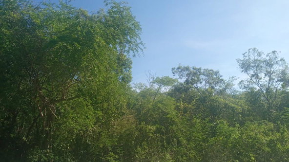 Third image of Luana in Black River, St. Elizabeth, Jamaica - property is For Sale