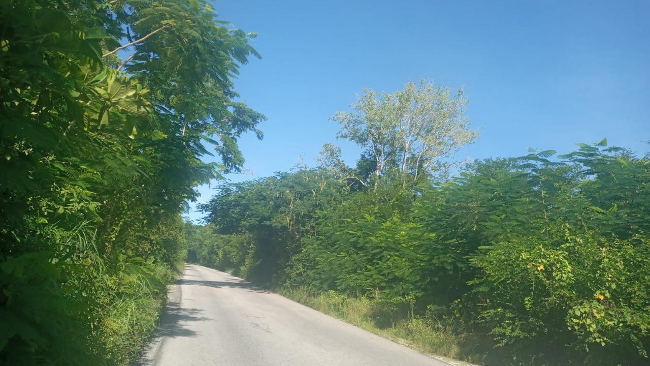 Fourth image of Luana in Black River, St. Elizabeth, Jamaica - property is For Sale