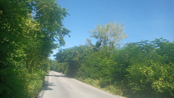 Fourth image of Luana in Black River, St. Elizabeth, Jamaica - property is For Sale