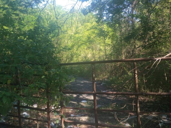 First image of Luana in Black River, St. Elizabeth, Jamaica - property is For Sale