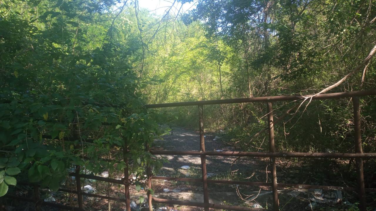 First image of Luana in Black River, St. Elizabeth, Jamaica - property is For Sale