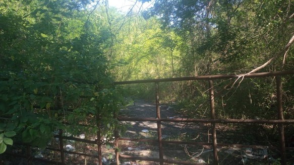 First image of Luana in Black River, St. Elizabeth, Jamaica - property is For Sale