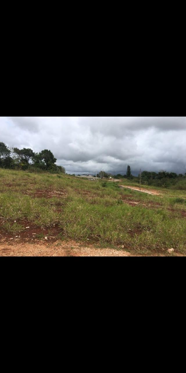 Prime-Development-Land-for-Sale-in-Manchester-Jamaica-0.71-Acres First image of Lot #5 Part of Wales, Man in New Whales, Manchester, Jamaica - property is For Sale
