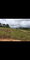 First image of Lot #5 Part of Wales, Man in New Whales, Manchester, Jamaica - property is For Sale