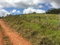 First image of Lot 1 Wales District, Newport in Newport, Manchester, Jamaica - property is For Sale