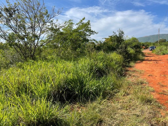 First image of Brambleton Hall Nain in Mandeville, Manchester, Jamaica - property is For Sale