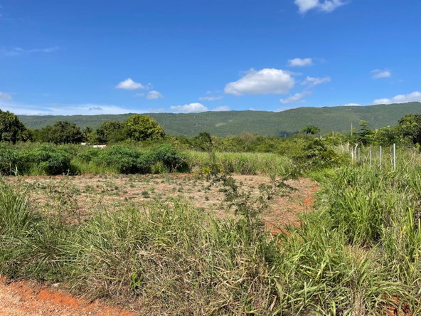Seventh image of Brambleton Hall Nain in Mandeville, Manchester, Jamaica - property is For Sale