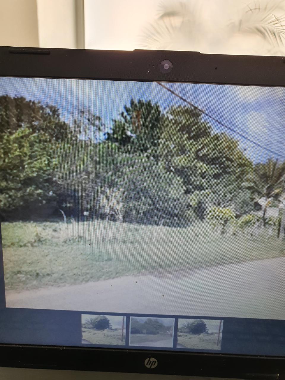 Fifth image of 14 Bonito Close, Off Hanbury in Mandeville, Manchester, Jamaica - property is For Sale
