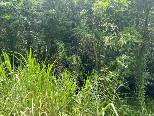 Second image of Bloomfield Street, in Mandeville, Manchester, Jamaica - property is For Sale