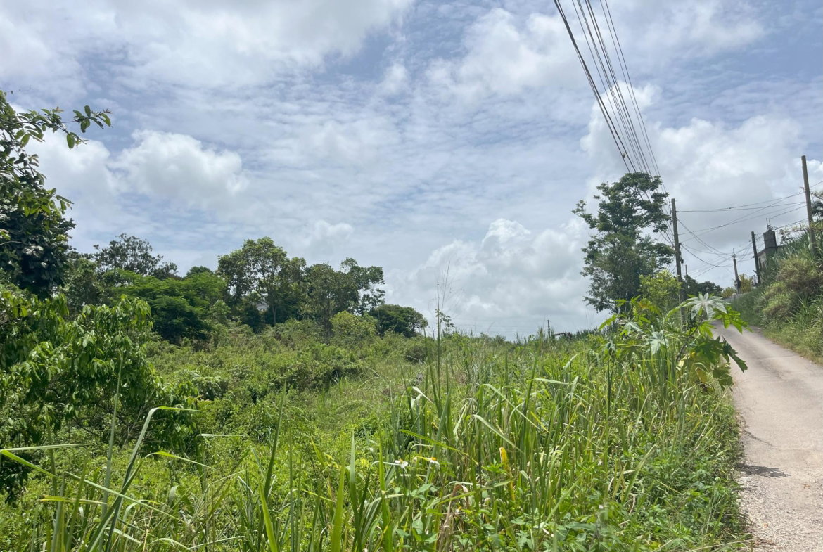 First image of Bloomfield Street, in Mandeville, Manchester, Jamaica - property is For Sale