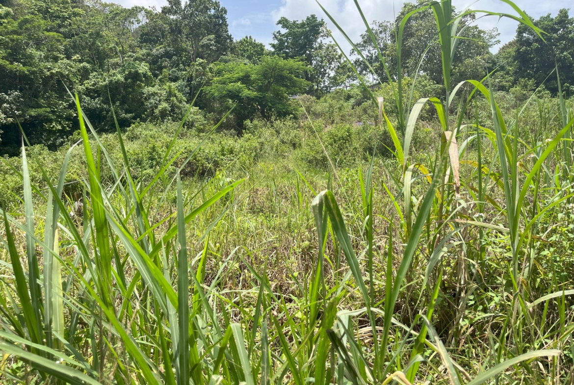 Fourth image of Bloomfield Street, in Mandeville, Manchester, Jamaica - property is For Sale