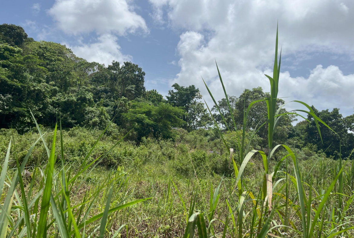 Fifth image of Bloomfield Street, in Mandeville, Manchester, Jamaica - property is For Sale