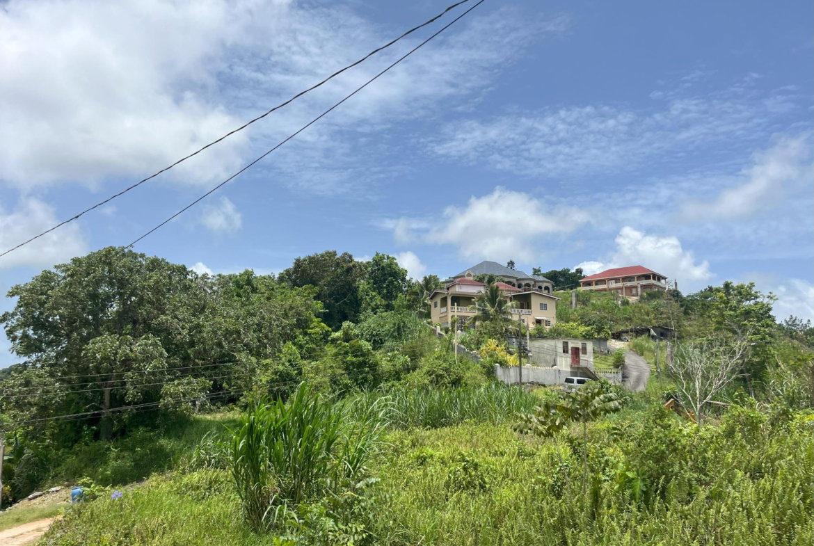 Sixth image of Bloomfield Street, in Mandeville, Manchester, Jamaica - property is For Sale