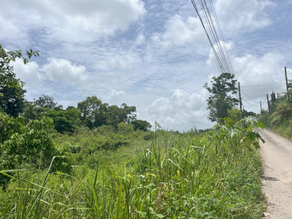 First image of Bloomfield Street, in Mandeville, Manchester, Jamaica - property is For Sale
