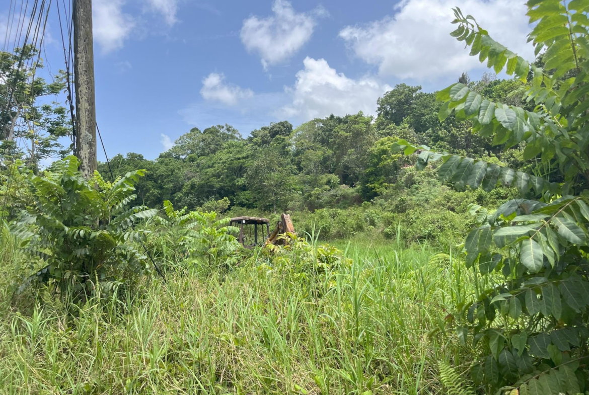 Seventh image of Bloomfield Street, in Mandeville, Manchester, Jamaica - property is For Sale
