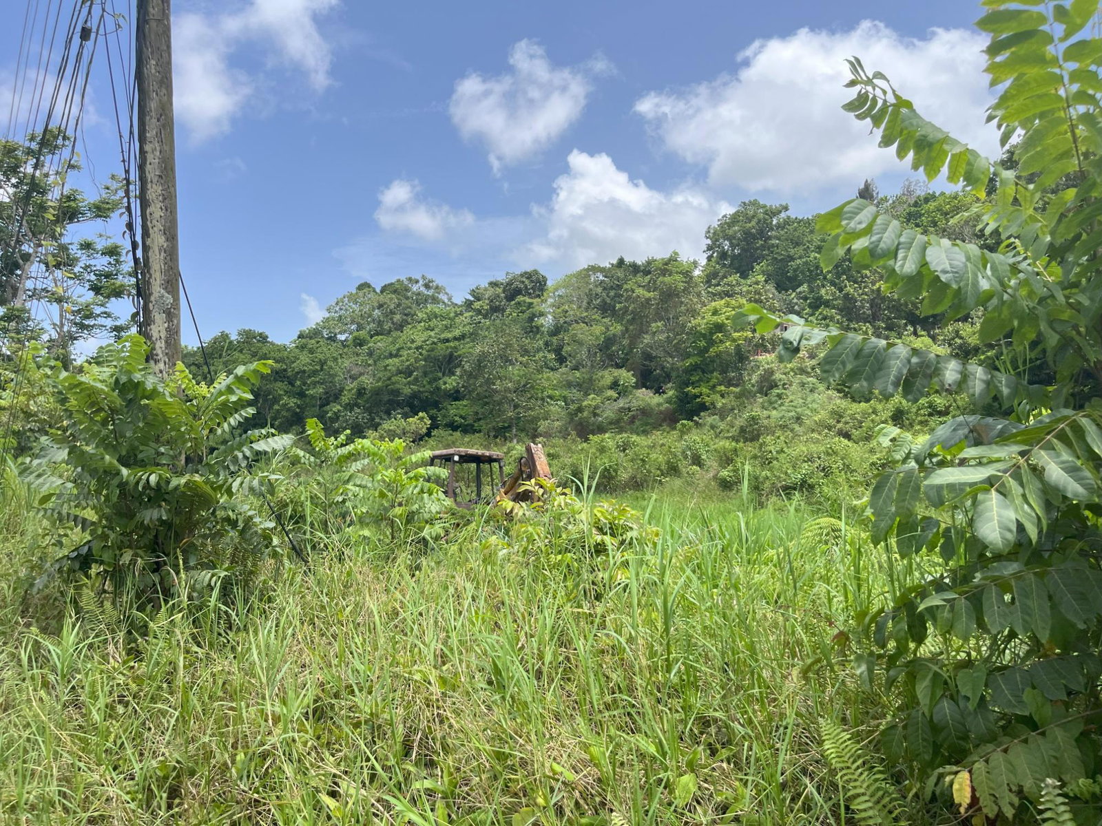 Seventh image of Bloomfield Street, in Mandeville, Manchester, Jamaica - property is For Sale