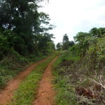 First image of Mango Valley in Mango Valley, St. Mary, Jamaica - property is For Sale
