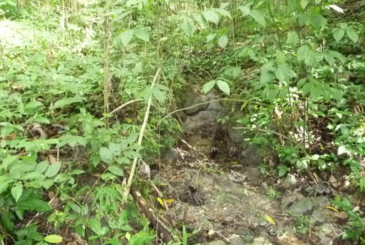 Fifth image of Mango Valley in Mango Valley, St. Mary, Jamaica - property is For Sale