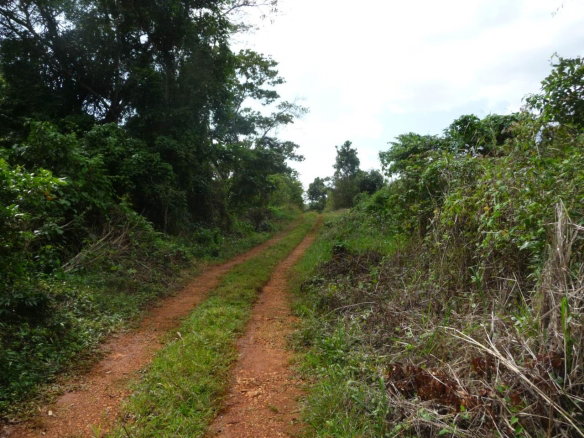 First image of Mango Valley in Mango Valley, St. Mary, Jamaica - property is For Sale
