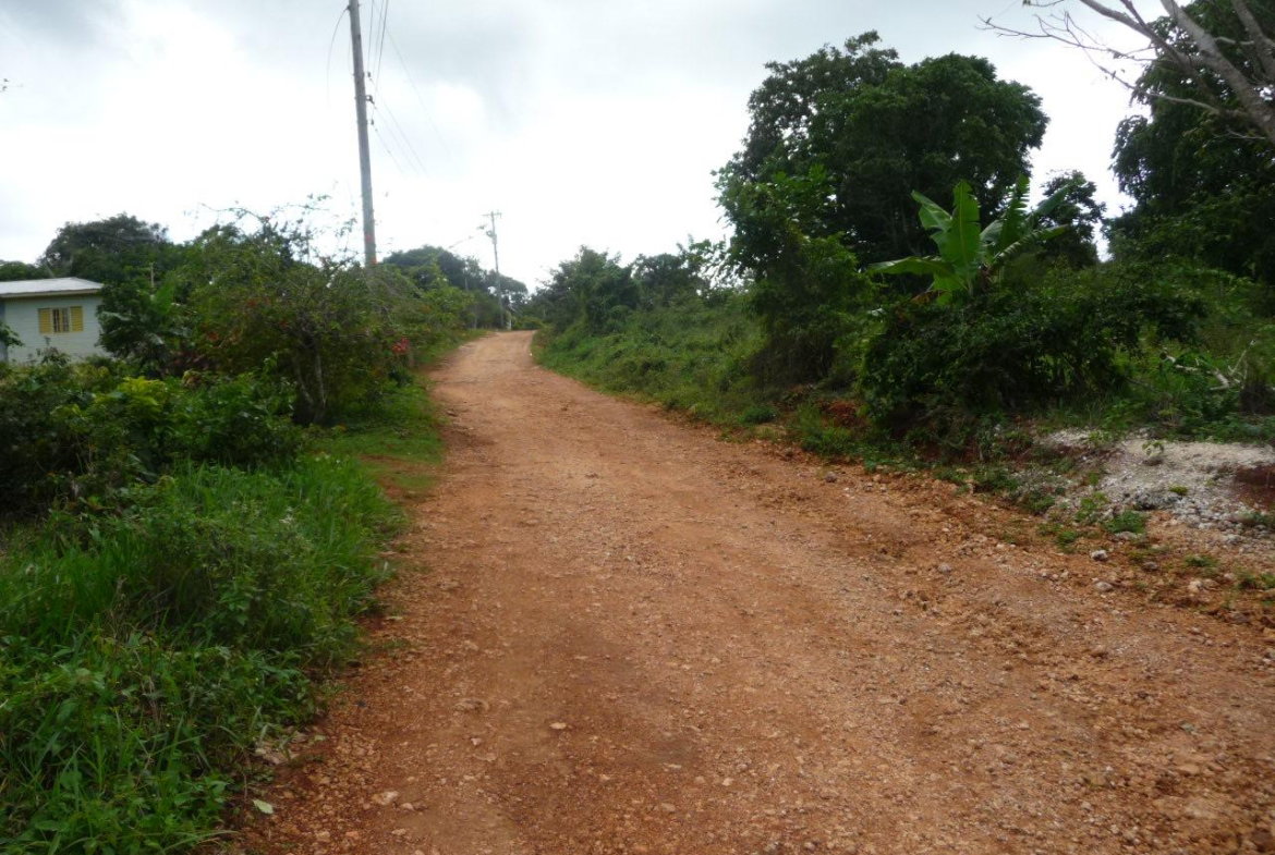 Eighth image of Mango Valley in Mango Valley, St. Mary, Jamaica - property is For Sale