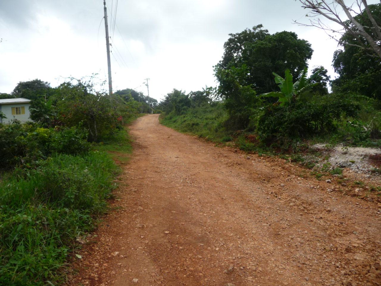 Eighth image of Mango Valley in Mango Valley, St. Mary, Jamaica - property is For Sale