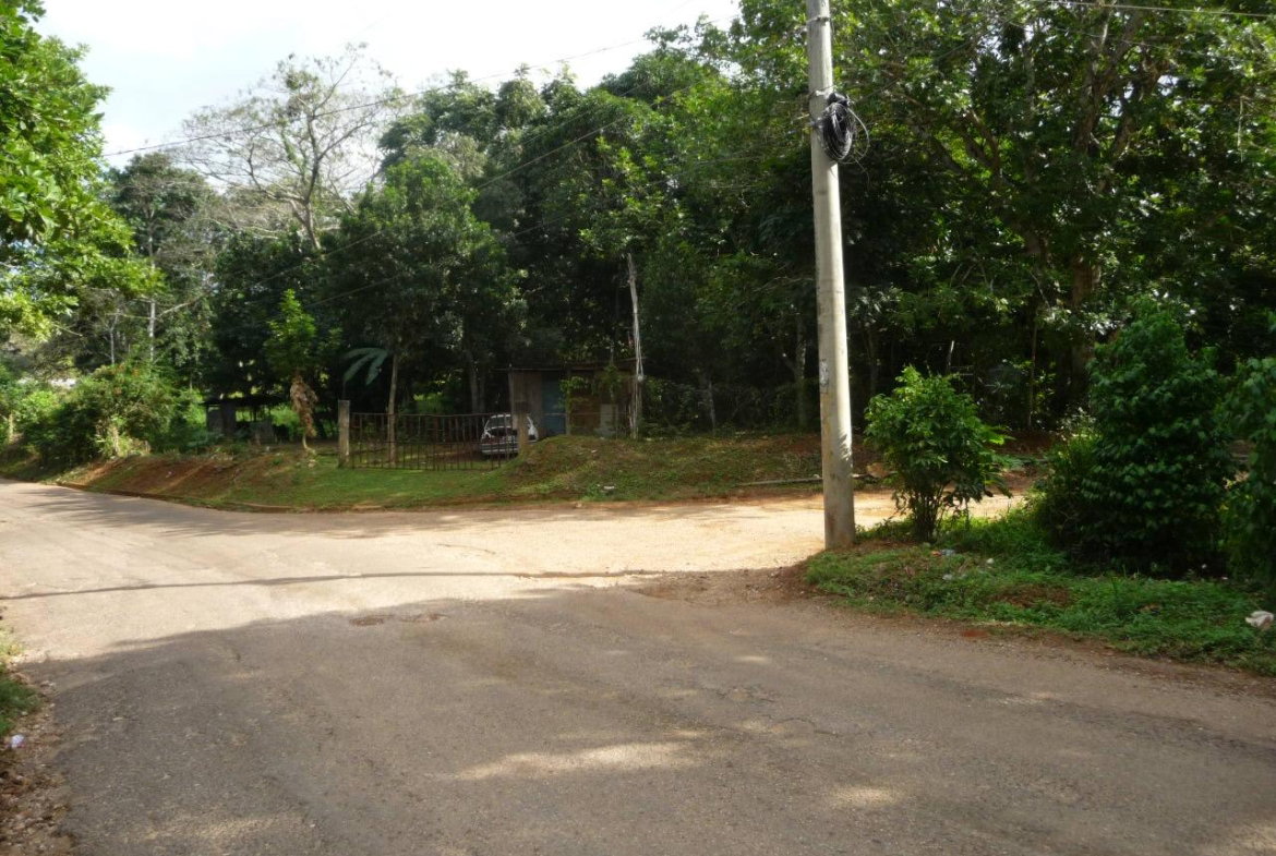 Ninth image of Mango Valley in Mango Valley, St. Mary, Jamaica - property is For Sale