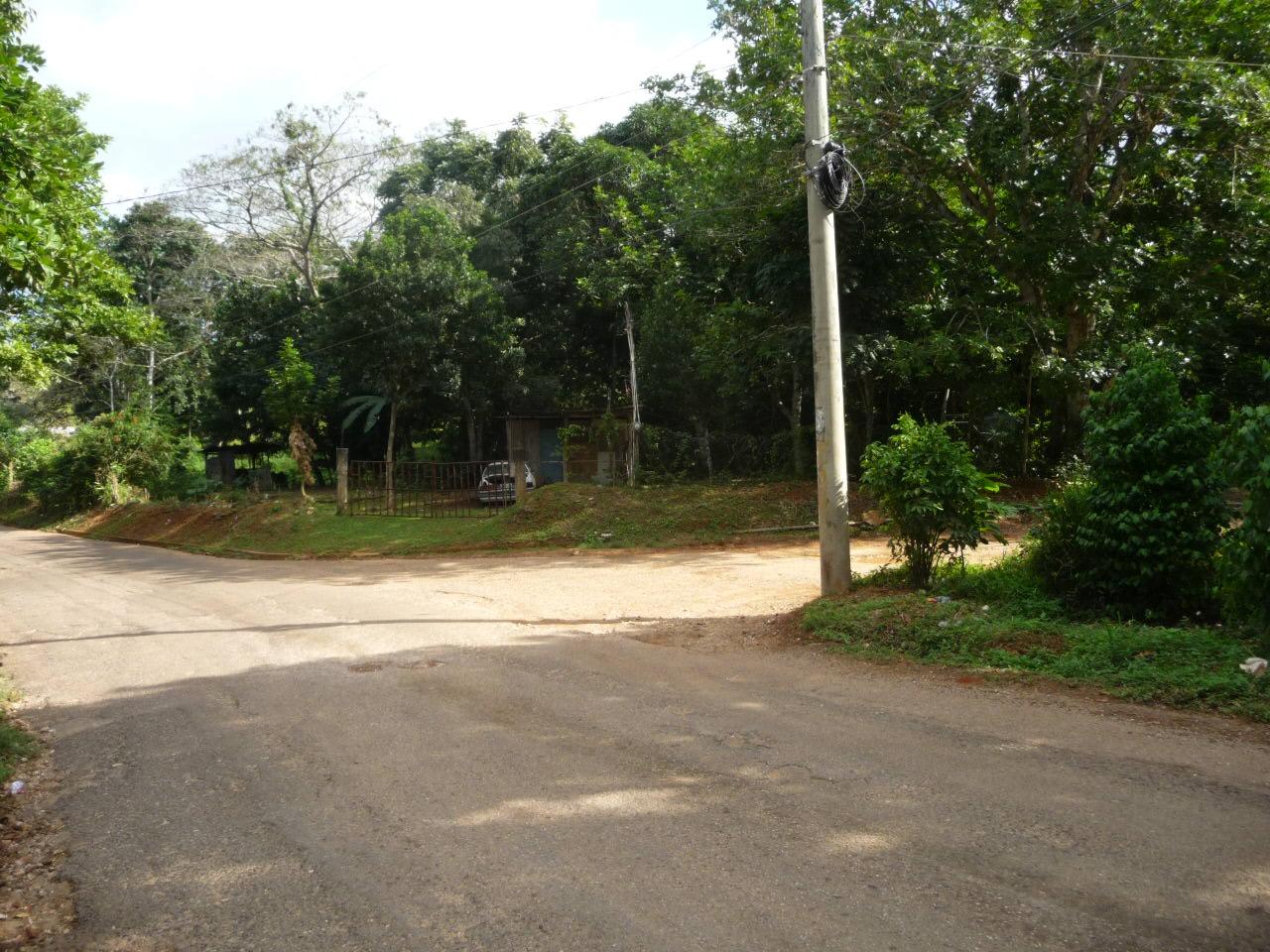 Ninth image of Mango Valley in Mango Valley, St. Mary, Jamaica - property is For Sale