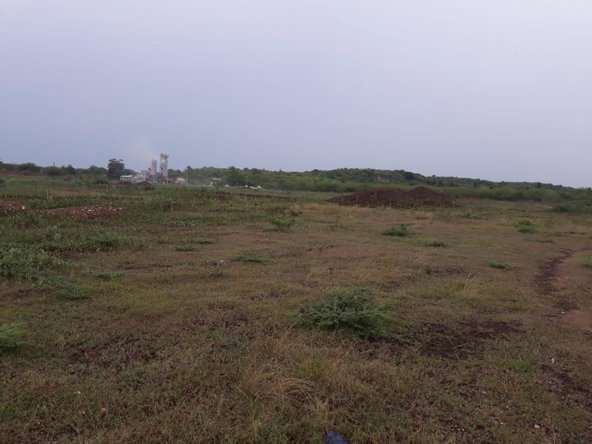 Eleventh image of Rules Pen-00 Clarendon in Mineral Heights, Clarendon, Jamaica - property is For Sale