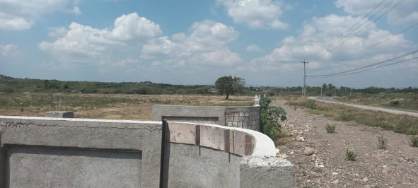 Nineteenth image of Rules Pen-00 Clarendon in Mineral Heights, Clarendon, Jamaica - property is For Sale