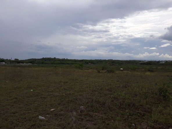 Third image of Rules Pen-00 Clarendon in Mineral Heights, Clarendon, Jamaica - property is For Sale