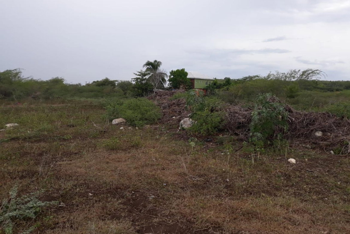 Fifth image of Rules Pen-00 Clarendon in Mineral Heights, Clarendon, Jamaica - property is For Sale