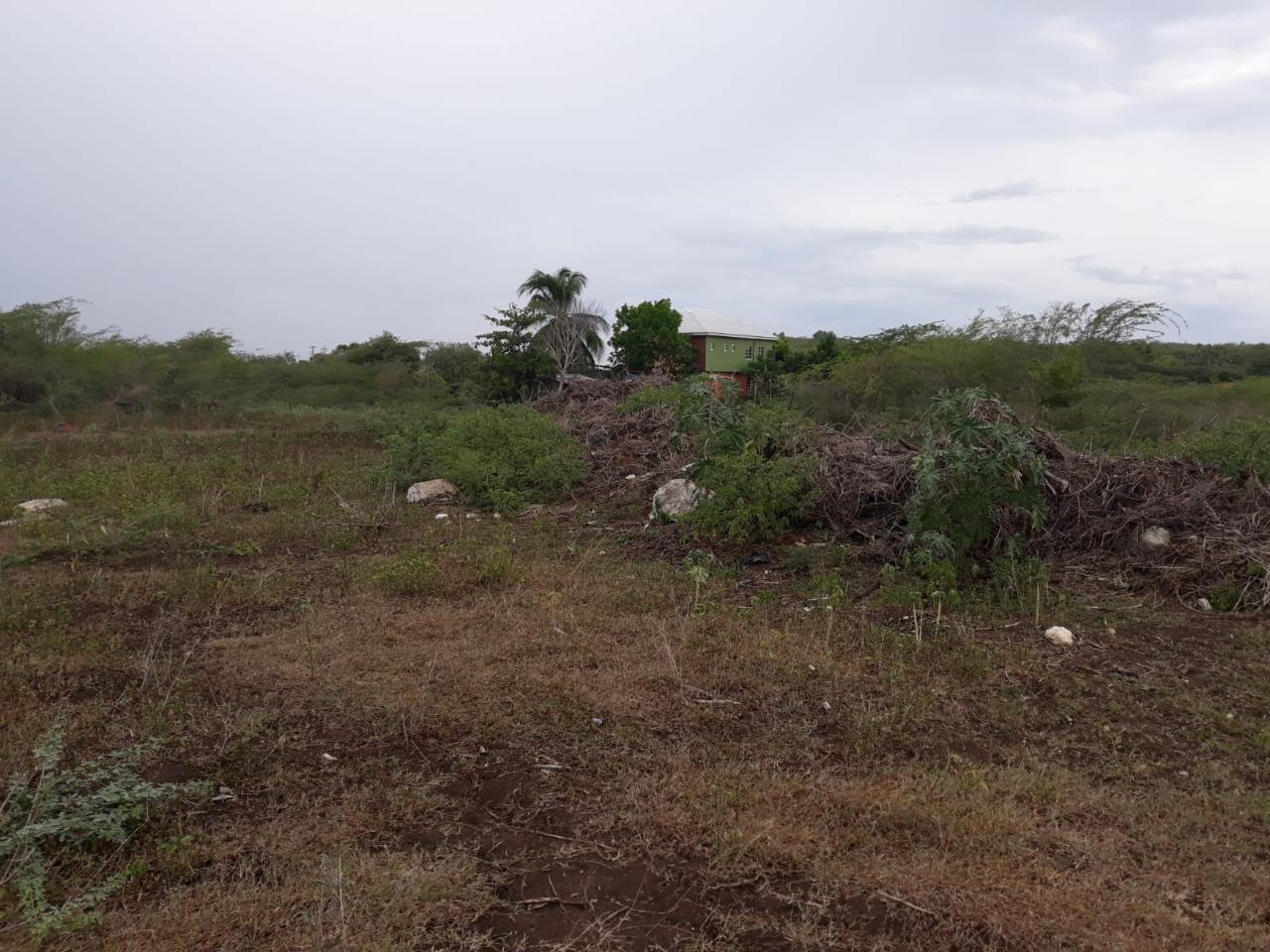 Fifth image of Rules Pen-00 Clarendon in Mineral Heights, Clarendon, Jamaica - property is For Sale