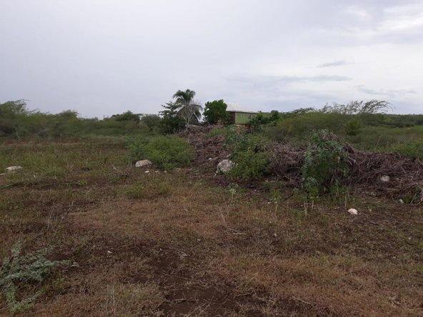 Fifth image of Rules Pen-00 Clarendon in Mineral Heights, Clarendon, Jamaica - property is For Sale