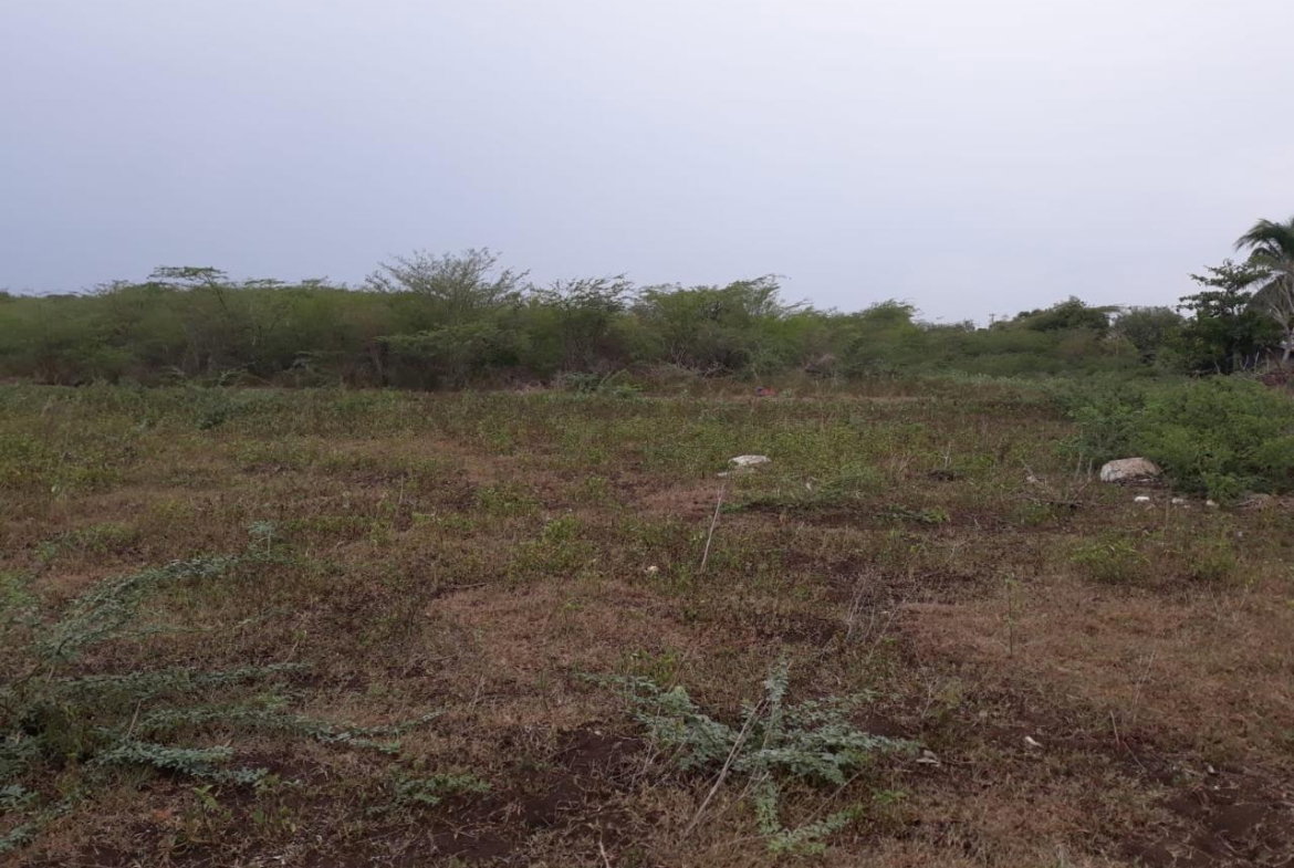 Sixth image of Rules Pen-00 Clarendon in Mineral Heights, Clarendon, Jamaica - property is For Sale