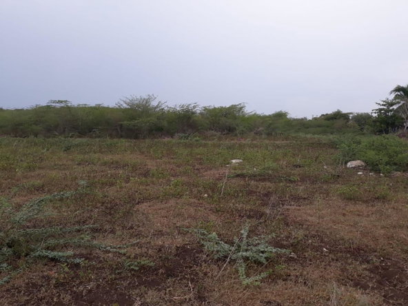 Sixth image of Rules Pen-00 Clarendon in Mineral Heights, Clarendon, Jamaica - property is For Sale