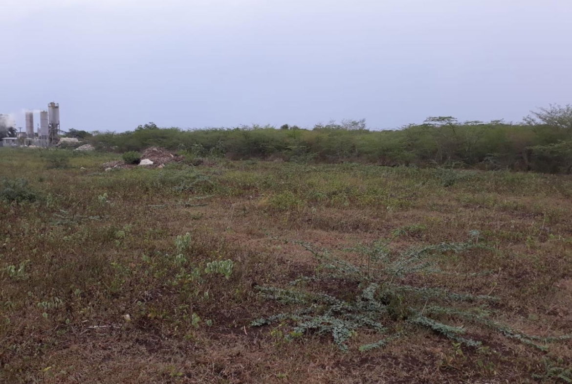Seventh image of Rules Pen-00 Clarendon in Mineral Heights, Clarendon, Jamaica - property is For Sale