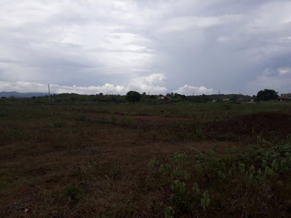 Ninth image of Rules Pen-00 Clarendon in Mineral Heights, Clarendon, Jamaica - property is For Sale