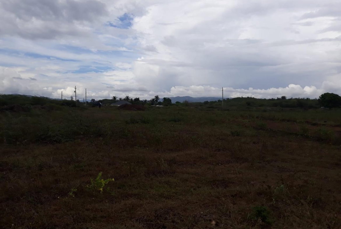 Tenth image of Rules Pen-00 Clarendon in Mineral Heights, Clarendon, Jamaica - property is For Sale