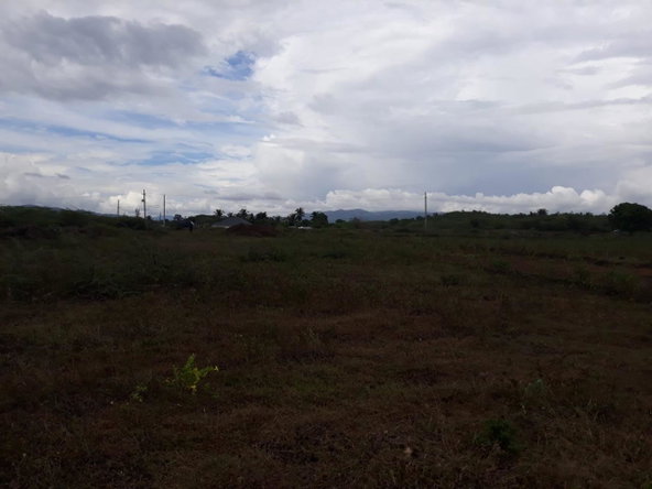 Tenth image of Rules Pen-00 Clarendon in Mineral Heights, Clarendon, Jamaica - property is For Sale