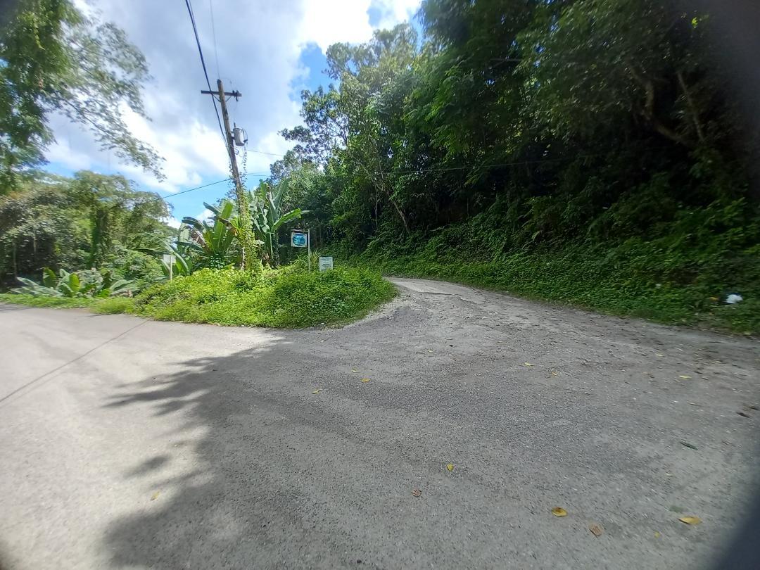 Eleventh image of Copse, Lethe in Lethe, Hanover, Jamaica - property is For Sale